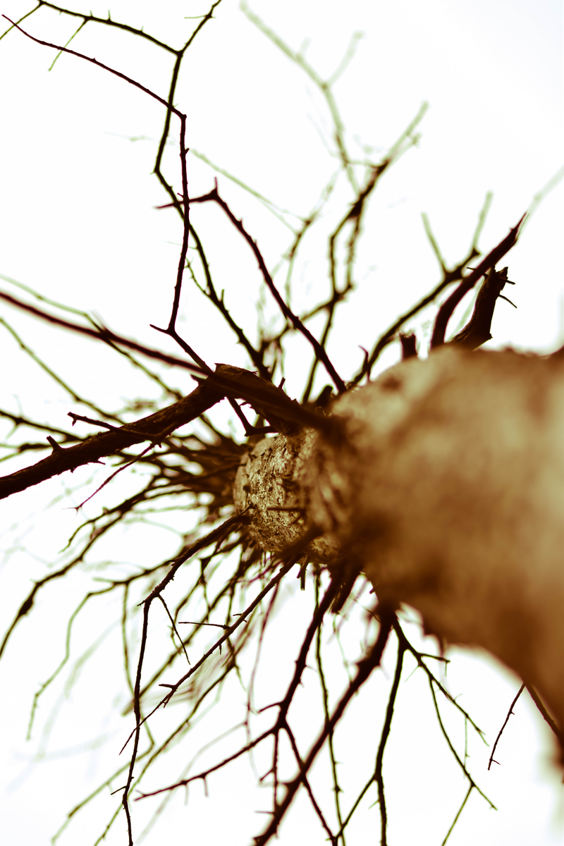 Illustration for article titled A Bog is a Bog